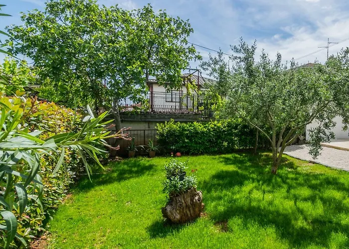 Lavanda Maslina - New Luxury * Πούλα